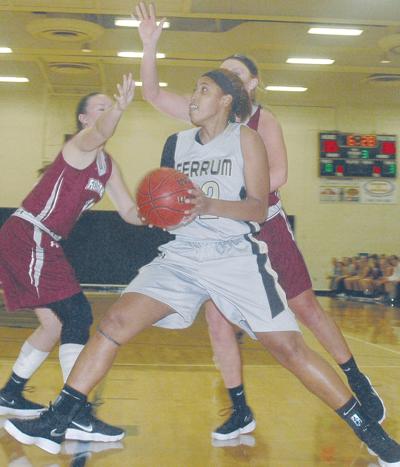 College Basketball Panthers Seek Title In Usa South Sports
