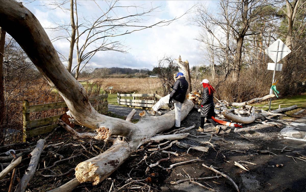 Storm damage