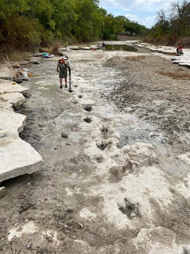 Dinosaur tracks from 113 million years ago uncovered due to severe drought conditions at Dinosaur Valley State Park