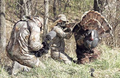 Turkey “fanning” effective way to hunt, but is it safe?