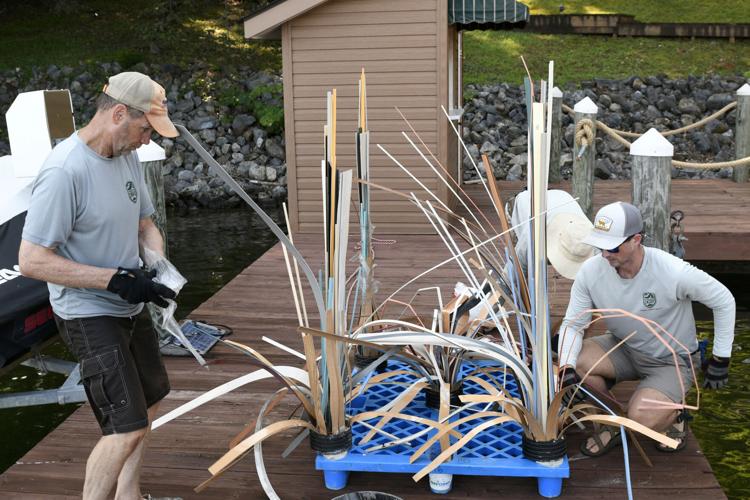 071625-fnp-news-vadwr-p02