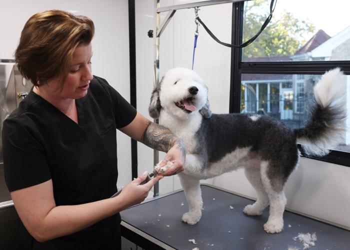 110925-roa-biz-mobilegrooming-03.JPG
