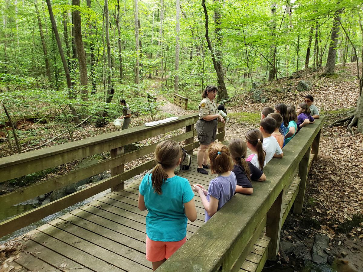 Csi At Smith Mountain Lake State Park Latest Headlines Thefranklinnewspost Com