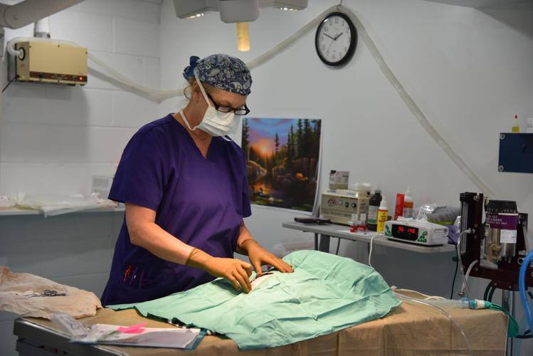 Planned Pethood Clinic 20 years