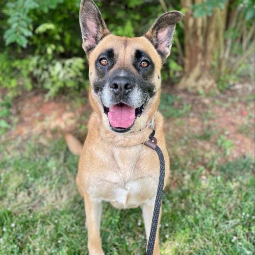 071223 Furry Friends RBG Really Big Girl