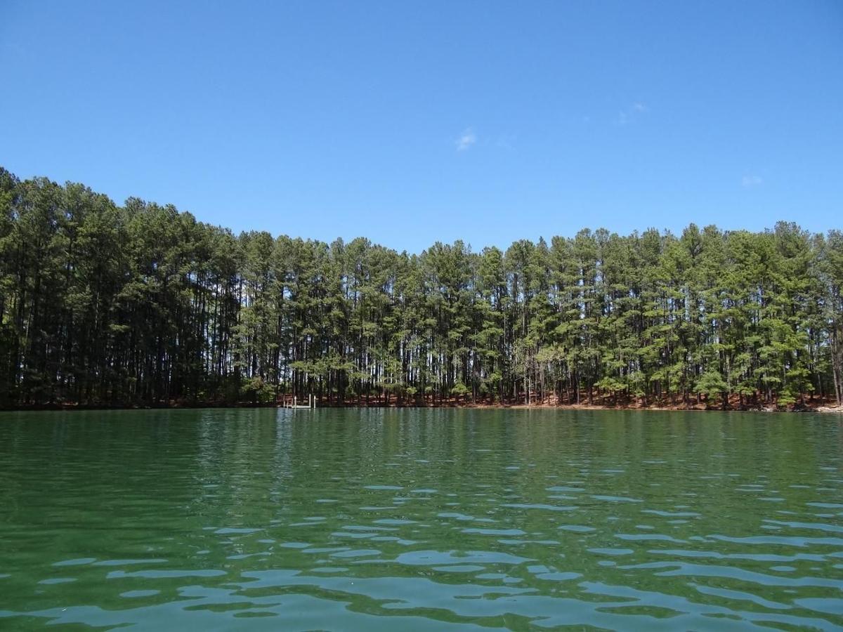 Christmas Tree Island