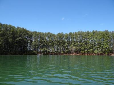 Christmas Tree Island