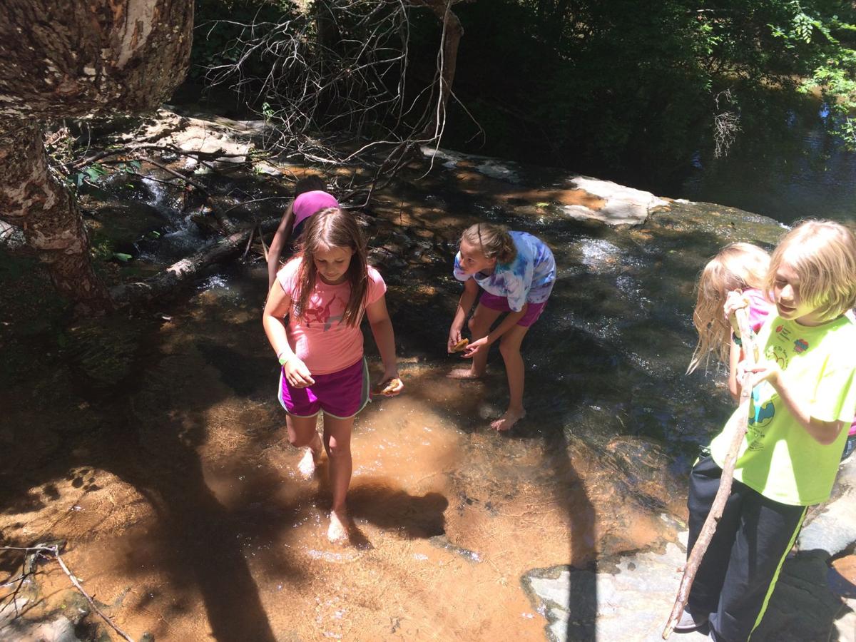 Registration Opens For Ymca Children S Camp Latest Headlines Thefranklinnewspost Com