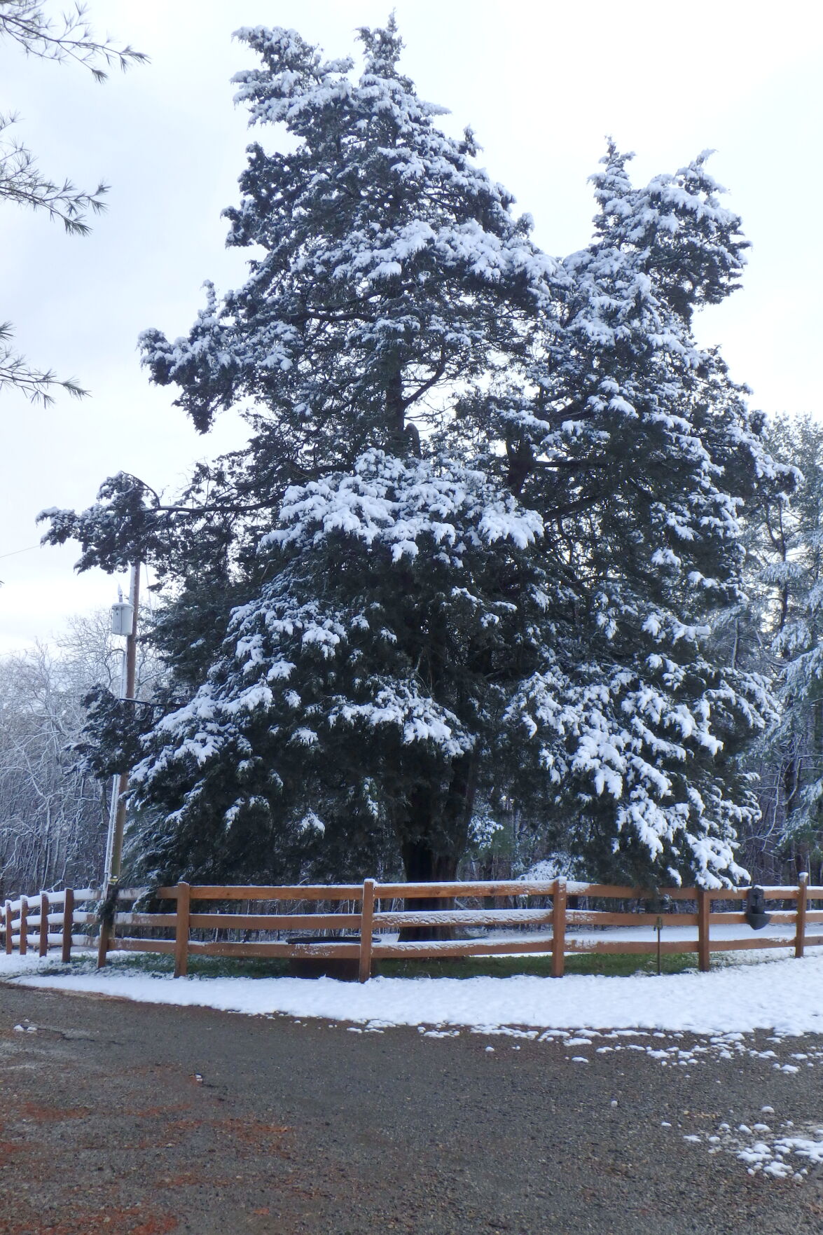 Roanoke Va Will It Snow On Christmas 2022 Season's First Snowfall Lands Brief Yet Soggy Punch To Roanoke Region |  Local News | Thefranklinnewspost.com