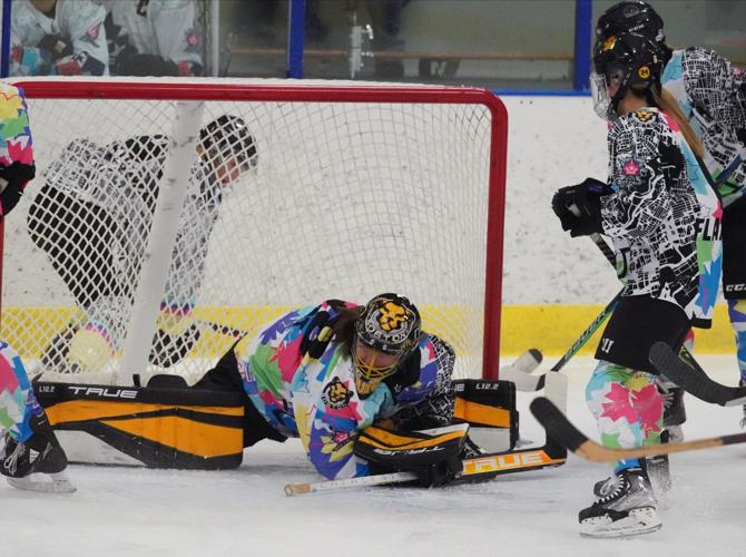 Premier Hockey Federation 2022 All Stars Showcase