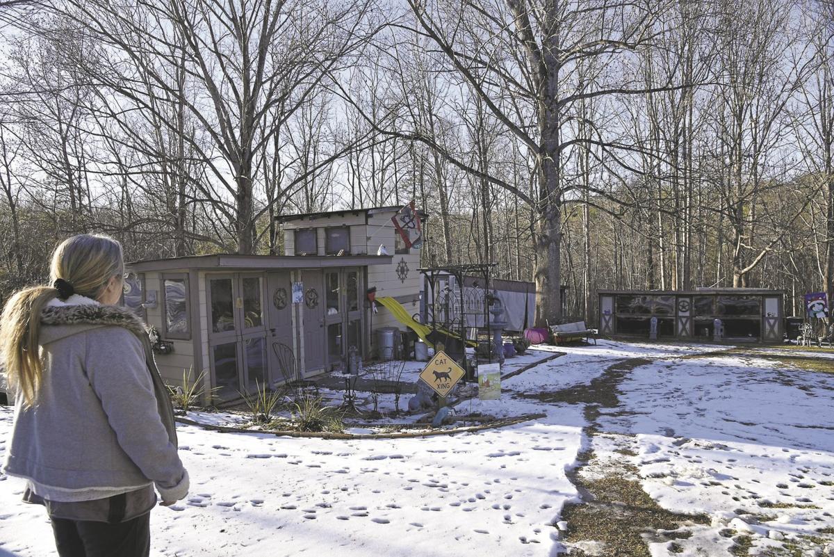 Freedom's Last Chance