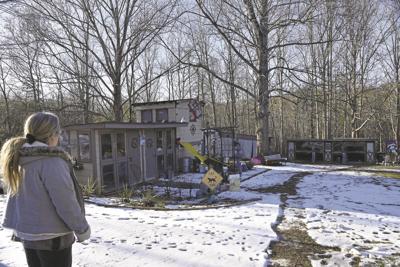 Freedom's Last Chance