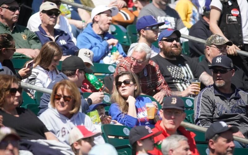 Buffalo Bisons baseball