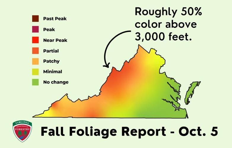 Foilage peak is here; Fall colors generally peak between Oct. 10 and 31
