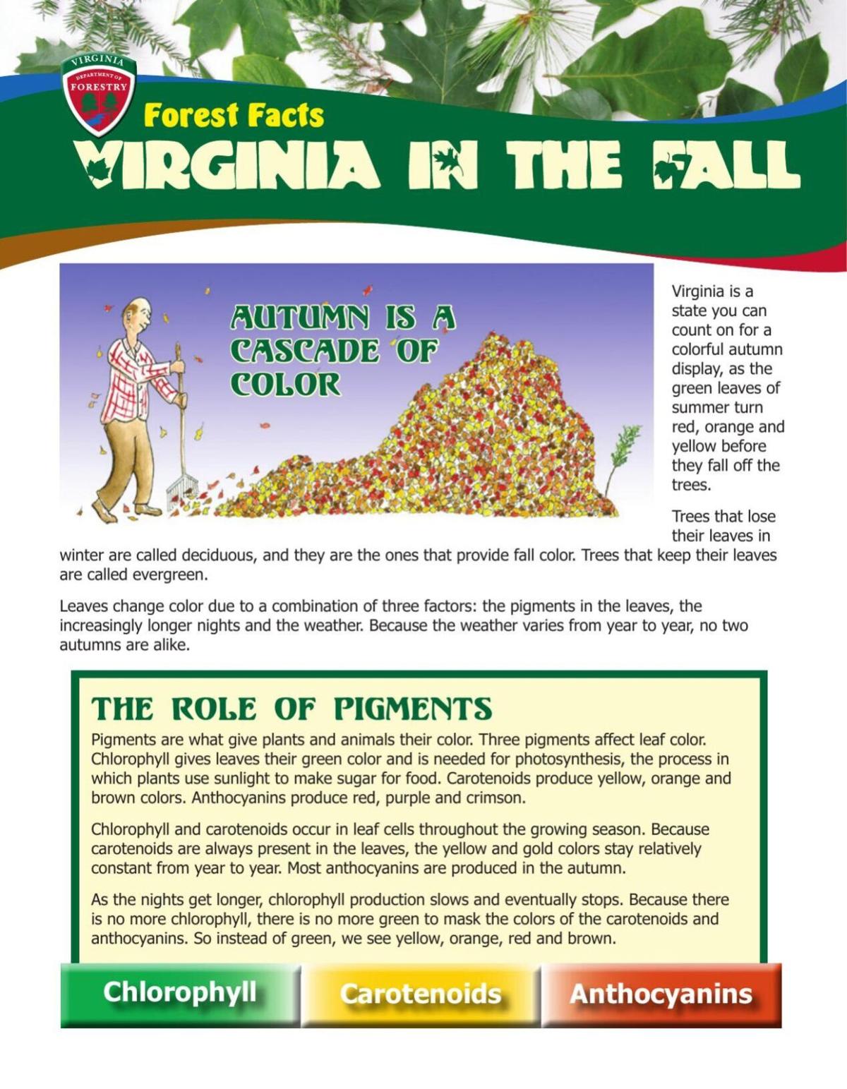 Virginia in the fall