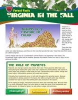 Virginia in the fall