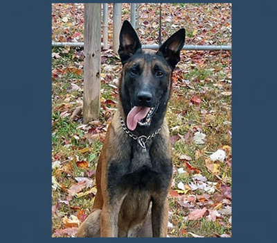 Screenshot 2024-04-03 155704.png