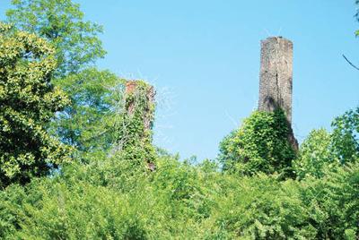 Waid Park a jewel in the county