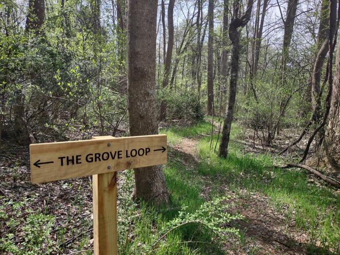 Celeste Park trails