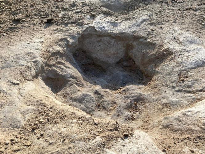 Dinosaur tracks from 113 million years ago uncovered due to severe drought conditions at Dinosaur Valley State Park