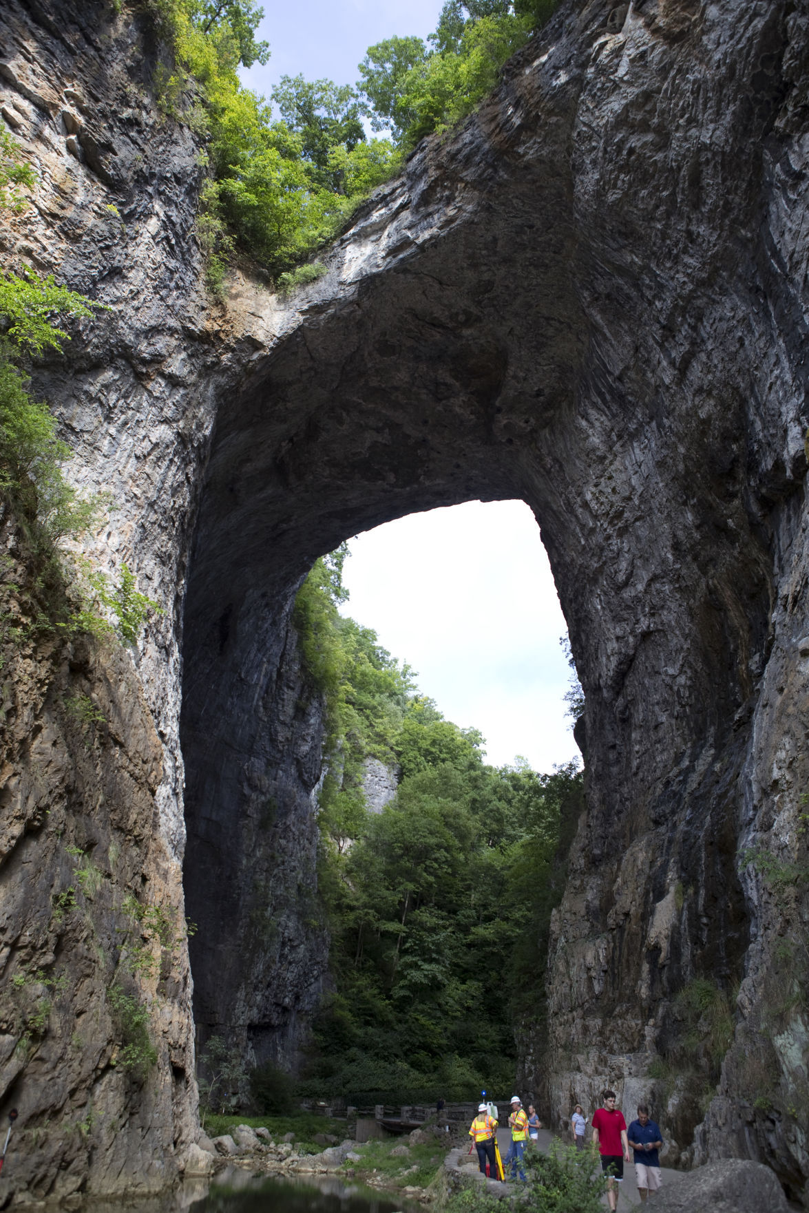 Visits To Natural Bridge Up Sharply During First Year As A State Park   59cc070546510.image 