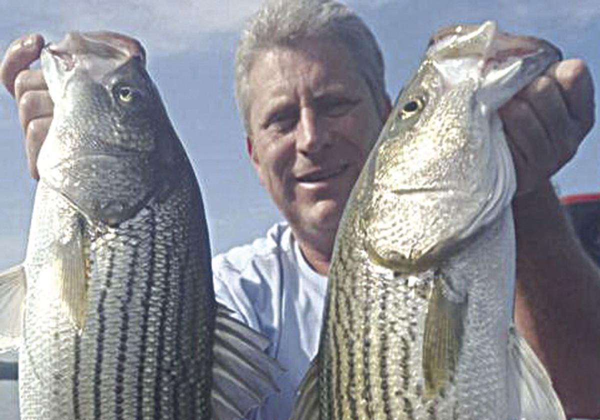 51 HQ Photos D And R Sports Fishing Report : Fishing report for June 8 | Sports | bakersfield.com 51 HQ Photos D And R Sports Fishing Report : Fishing report for June 8 | Sports | bakersfield.com