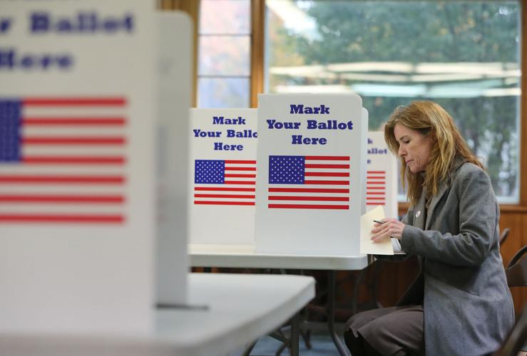 Lynne Dixon Election 2021 (copy)