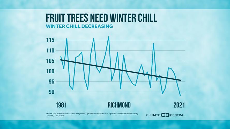 Richmond Chill Hours
