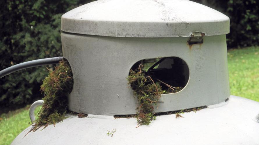 ‘Ferrum Flash’ interviewed for film documentary