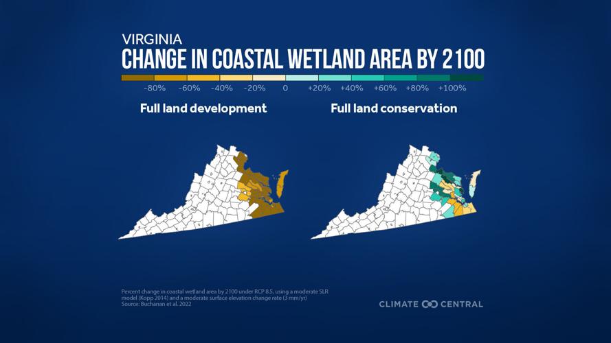 Change in Coastal Wetlands in Virginia by 2100