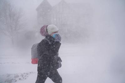 Buffalo Blizzard (copy)