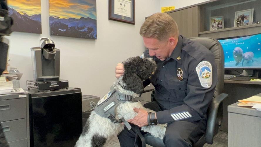 Rocky Mount Police Department Chief Phillip Young