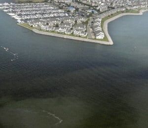 Chesapeake Bay cleanup: 'No significant progress'