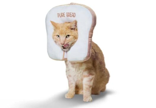 Pure Bread Cat and Dog Halloween Costume