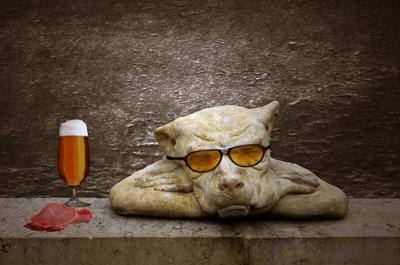 Dog bar
