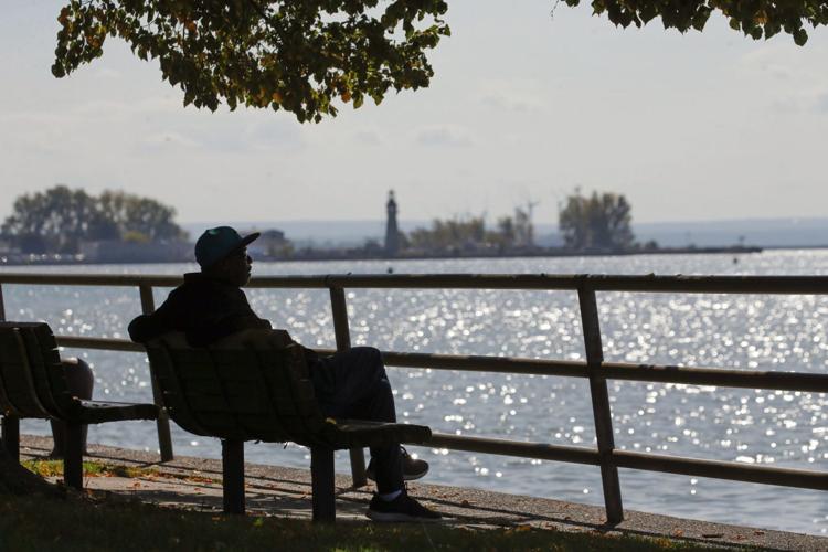 LOCAL WARM SPELL GEE