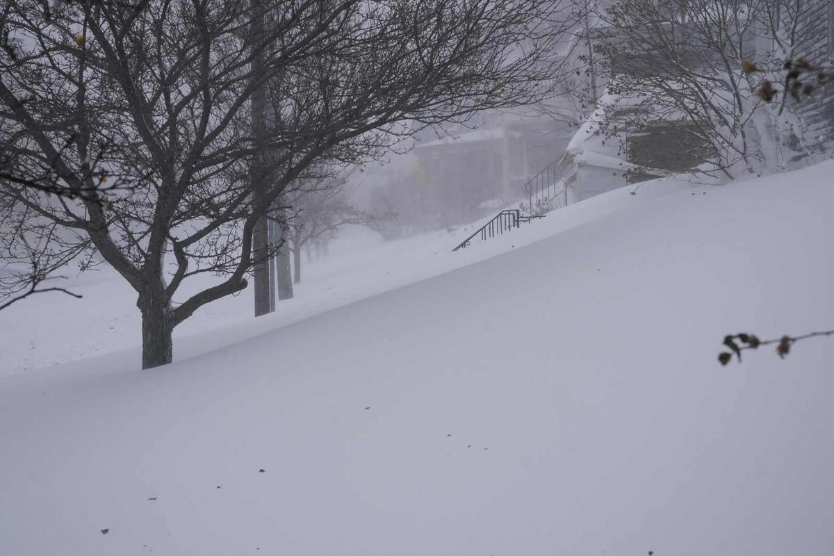 Buffalo Blizzard