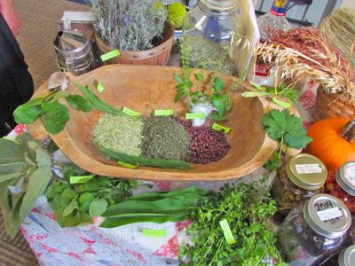 herb lore