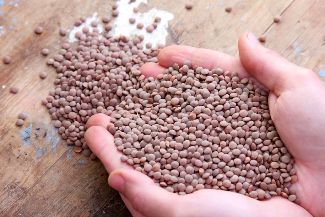 Beans and lentils