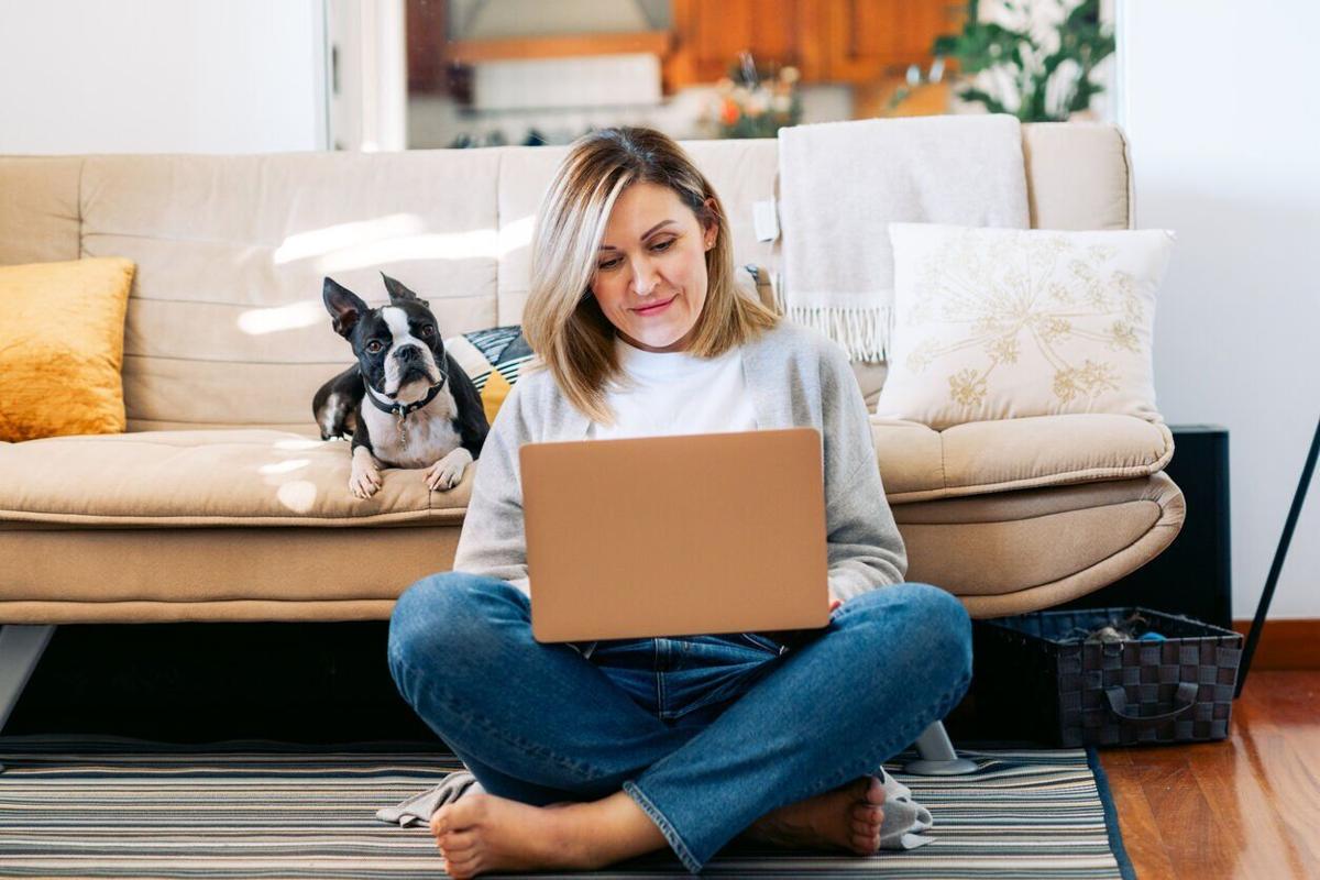 Don’t wing it. Why you should make pet-friendly hotel reservations early - Image