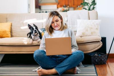 Don’t wing it. Why you should make pet-friendly hotel reservations early - Image