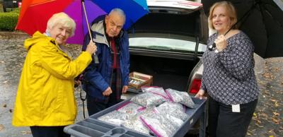 Ferrum Lions deliver tabs