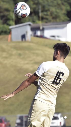Panthers On The Pitch