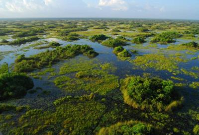 US-NEWS-ENV-FLA-INVASIVE-CARNIVORE-2-MCT