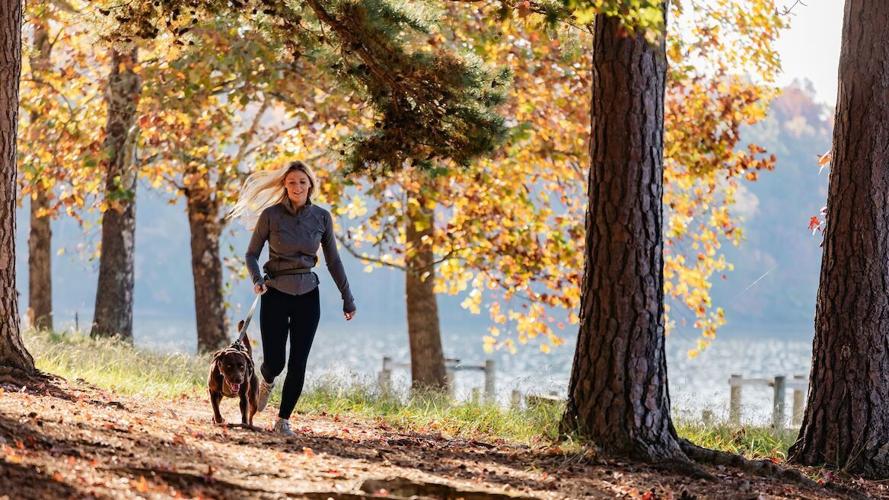 Plan Your Autumn Adventure in Spotsylvania: Your Ultimate Fall Bucket List