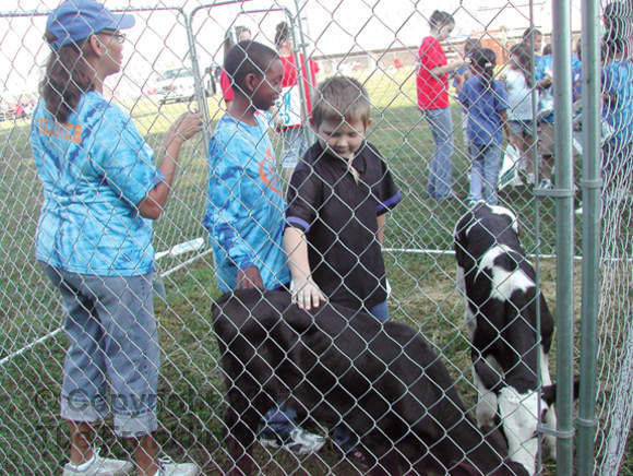 County fourth-graders learn about agriculture