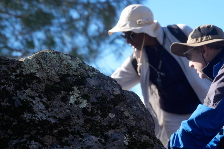 Climate Fungi Conservation