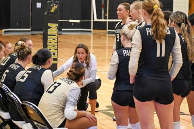 Panthers volleyball (copy)