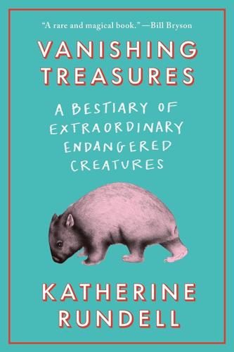 Vanishing Treasures_Katherine Rundell.jpg