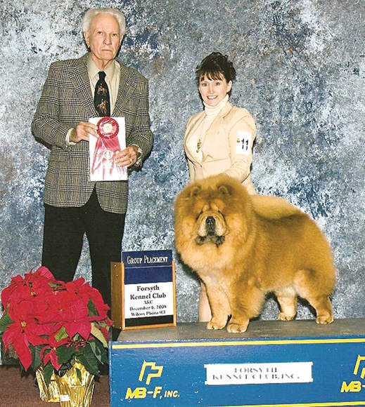 Chow chow dog show best sale